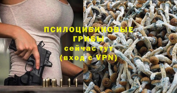 прущий лед Алексеевка