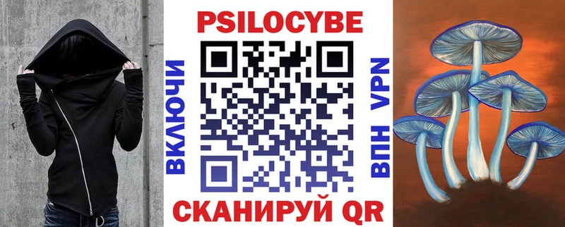 Псилоцибиновые грибы Psilocybine cubensis Нововоронеж