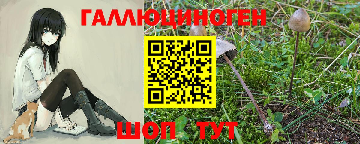 Псилоцибиновые грибы мухоморы Нововоронеж
