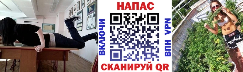 Бошки Шишки сатива  Нововоронеж 